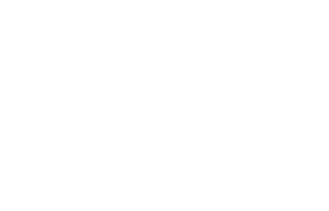 Djangobot — Official Selection