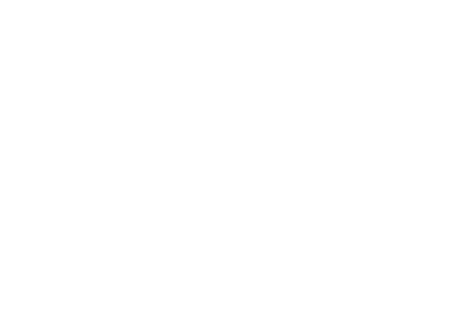 NJ International Film Festival 2007 — Official Selection
